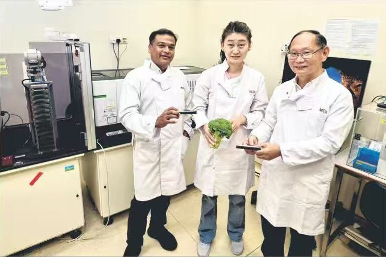 Professor Hong Wanjin’s Research Team Reveals Key Mechanisms for Breaking Through Lung Cancer Cell “Bodyguard” Defenses | 洪万进教授的科研团队揭示可攻破肺癌细胞”保镖”防线